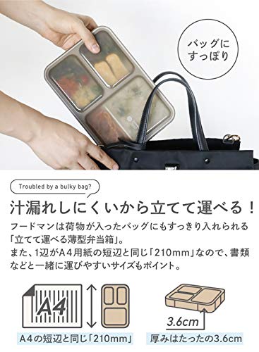CB Japan FOODMAN Bento Box Stand-up and Carry Thin Lunch Box 600m - WAFUU JAPAN