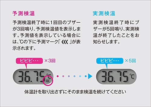 CITIZEN Electronic Thermometer CTE707 Predictive 15 sec CTE707 White - WAFUU JAPAN
