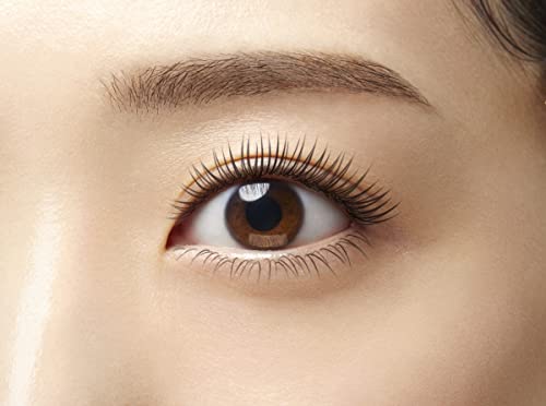 Dejavu Fiberwig Ultra Long Mascara E #Pure Black - WAFUU JAPAN