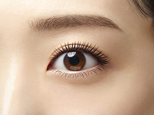 Dejavu Lash Knockout Extra Volume E1 Mascara Black - WAFUU JAPAN