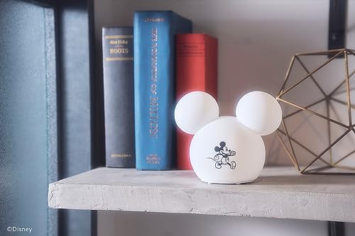 Disney MICKEY MOUSE Room Light - WAFUU JAPAN