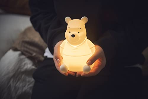 Disney Winnie the Pooh Room Light - WAFUU JAPAN