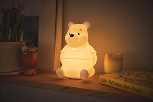 Disney Winnie the Pooh Room Light - WAFUU JAPAN