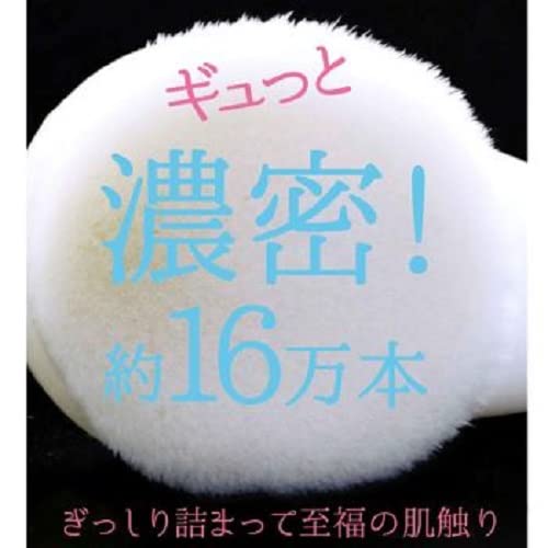 Facial Cleansing Brush NYF-800 - WAFUU JAPAN