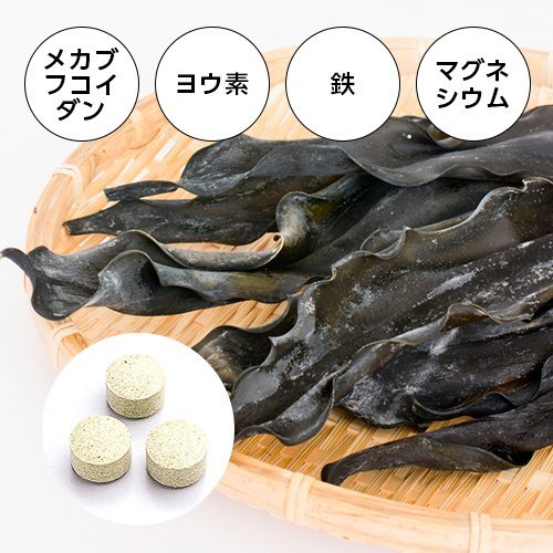 FINE JAPAN Laminaria extract with minerals and fucoidan 50-Day (500 capsules) - WAFUU JAPAN