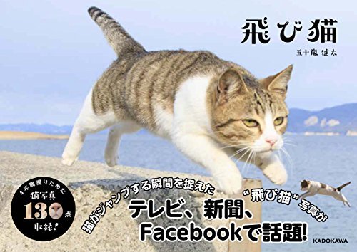 Flying Cat Book - WAFUU JAPAN