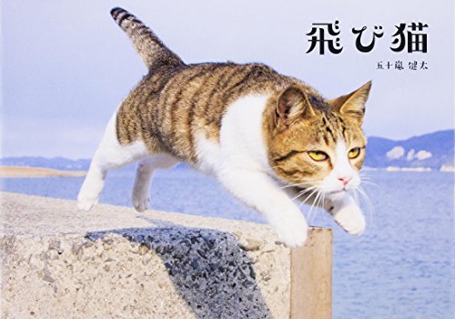 Flying Cat Book - WAFUU JAPAN