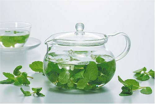 HARIO Tea kyusu transparent working capacity 450ml round microwave-safe CHJMN-45T - WAFUU JAPAN