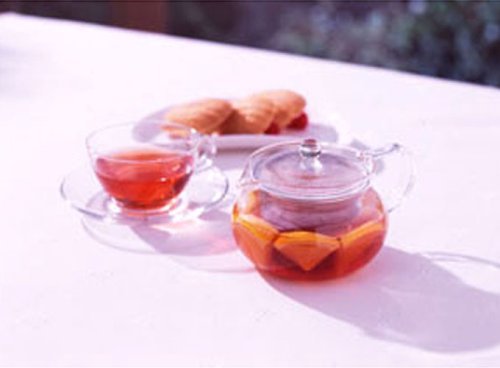 HARIO Tea kyusu transparent working capacity 450ml round microwave-safe CHJMN-45T - WAFUU JAPAN