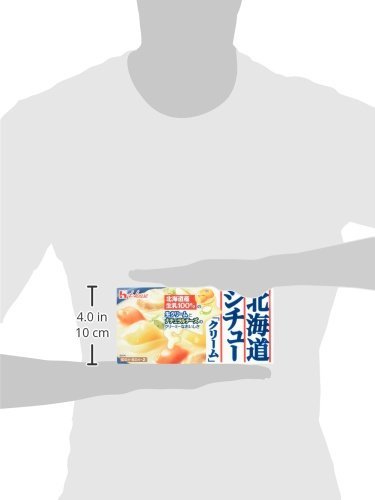 House Foods Hokkaido Stew Cream 180g - WAFUU JAPAN