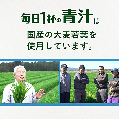 Ito En 1 Cup Of Green Aojiru Juice Every Day 60 Packets Powder - WAFUU JAPAN