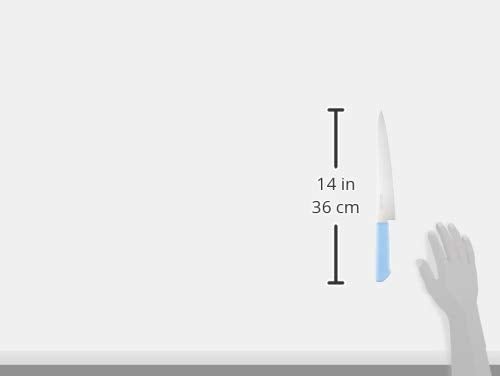 Kataoka Japan Sushi Sashimi Master Cook Knife 240mm MCSK240B Blue - WAFUU JAPAN