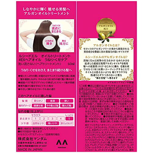 Lucido-L Argan Rich Hair Treatment Oil Frizz Care - WAFUU JAPAN