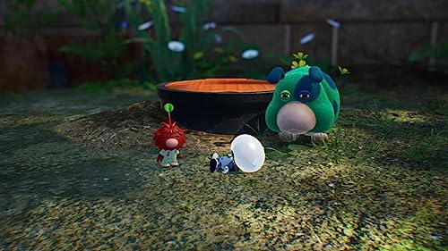 Nintendo Switch Pikmin4 - WAFUU JAPAN