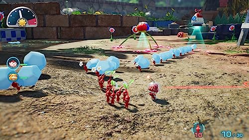 Nintendo Switch Pikmin4 - WAFUU JAPAN