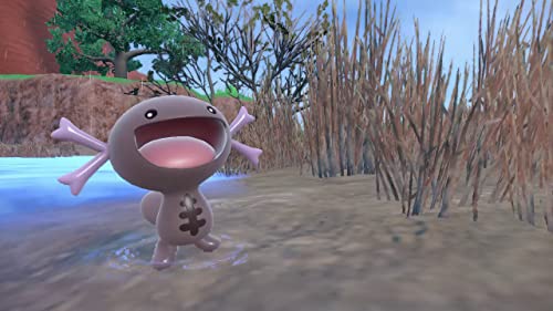 Nintendo Switch Pokemon Violet - WAFUU JAPAN