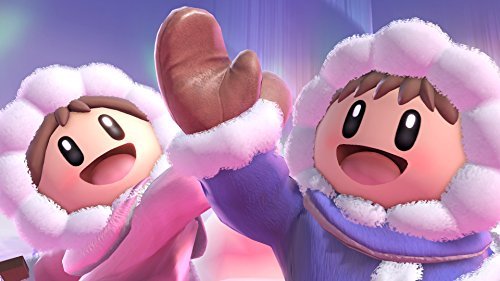 Nintendo Switch Super Smash Bros. SPECIAL - WAFUU JAPAN