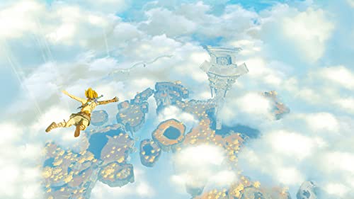 Nintendo Switch The Legend of Zelda: Tears of the Kingdom - WAFUU JAPAN