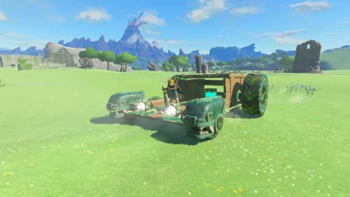 Nintendo Switch The Legend of Zelda: Tears of the Kingdom - WAFUU JAPAN