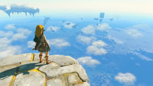 Nintendo Switch The Legend of Zelda: Tears of the Kingdom - WAFUU JAPAN