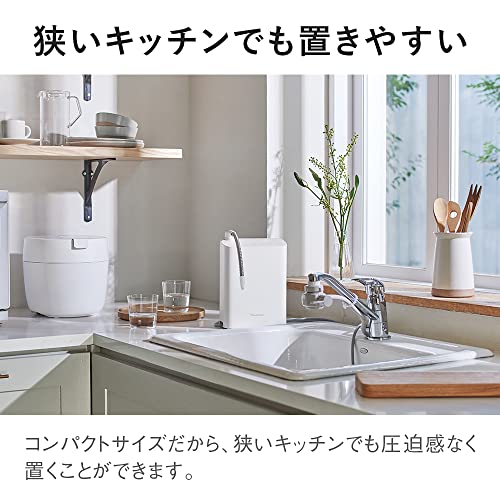 Panasonic Alkaline Ionized Water Apparatus substances removed Made in Japan White TK-AS31-W - WAFUU JAPAN