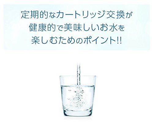 Panasonic Replacement cartridge for alkaline ionized water apparatus TK7105C1 - WAFUU JAPAN