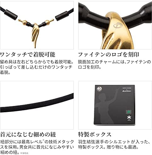 Phiten Stainless Steel Necklace RAKUWA Neck Wings Gold - WAFUU JAPAN