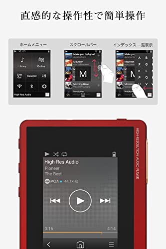 Pioneer XDP-20(R) Digital Audio Player Red - WAFUU JAPAN