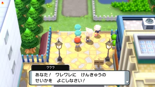 Pocket monster Pokémon Brilliant Diamond - Nintendo Switch NS Multilingual support - WAFUU JAPAN