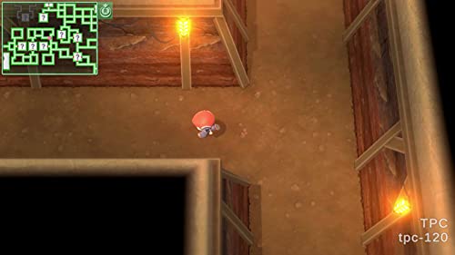 Pocket monster Pokémon Brilliant Diamond - Nintendo Switch NS Multilingual support - WAFUU JAPAN