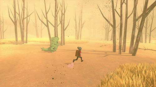 Pocket Monster Pokemon Shield - Nintendo Switch NS Multilingual support - WAFUU JAPAN