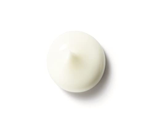 POLA Wrinkle Shot Geo Serum Protien Serum 40g - WAFUU JAPAN