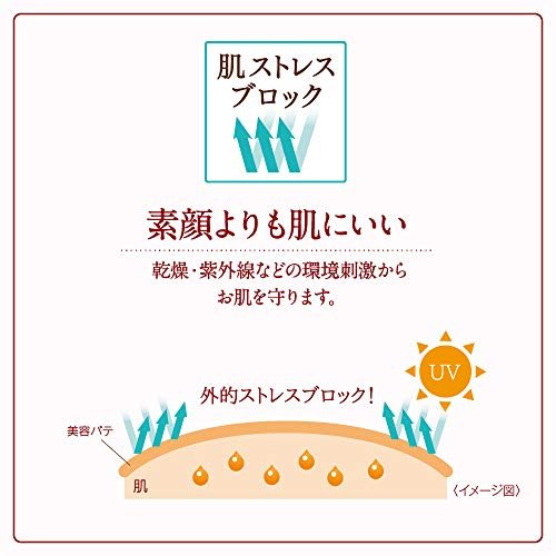 Pore Putty Essence BB Powder Moist & Lasting SPF 50 PA++++ - WAFUU JAPAN