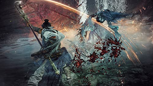 PS4 Wo Long: Fallen Dynasty Treasure Box KTGS-40626 - WAFUU JAPAN