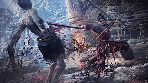 PS4 Wo Long: Fallen Dynasty Treasure Box KTGS-40626 - WAFUU JAPAN