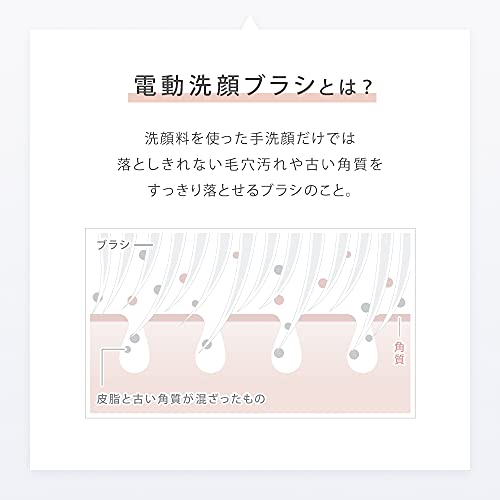 SALONIA Facial Cleansing Ion Facial Brush SAL21202SL - WAFUU JAPAN