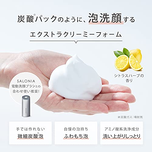 SALONIA Facial Cleansing Ion Facial Brush SAL21202SL - WAFUU JAPAN