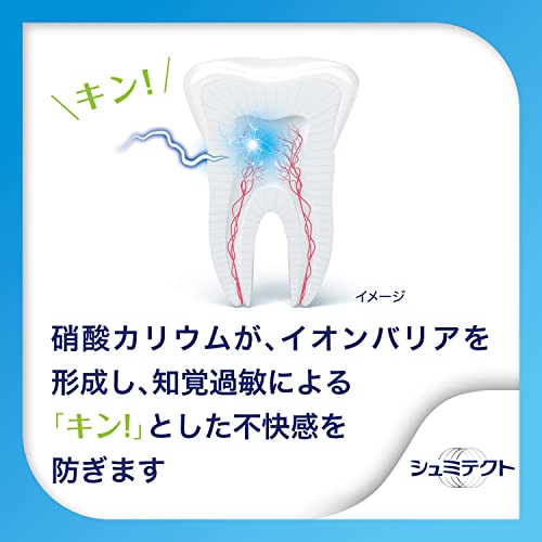 Schmictect Breath Fresh & Mouth Clean Toothpaste 1450ppm - WAFUU JAPAN