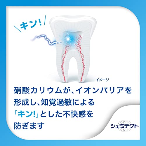 Schmictect Gently Whitening EX Whitening toothpaste 1450ppm - WAFUU JAPAN
