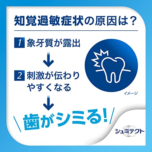 Schmictect Gently Whitening EX Whitening toothpaste 1450ppm - WAFUU JAPAN
