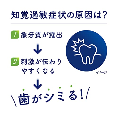 Schmictect Gum Disease Care Natural Herb Toothpaste 1450ppm - WAFUU JAPAN
