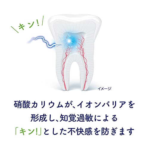 Schmictect Gum Disease Care Natural Herb Toothpaste 1450ppm - WAFUU JAPAN