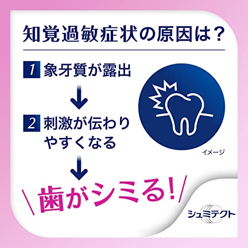 Schmictect Gum Disease Care Toothpaste Double Mint 1450ppm - WAFUU JAPAN