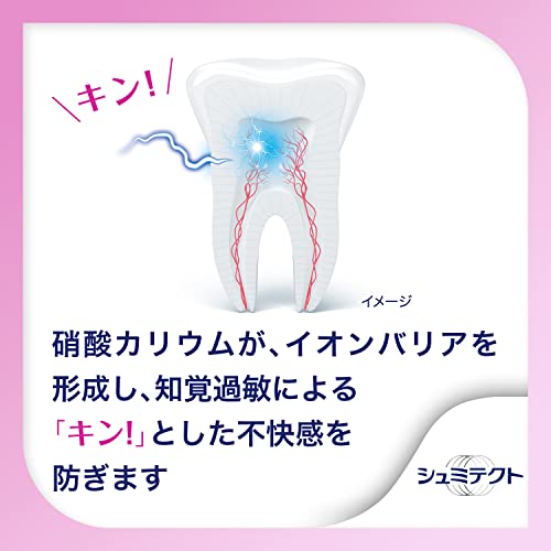 Schmictect Gum Disease Care Toothpaste Double Mint 1450ppm - WAFUU JAPAN