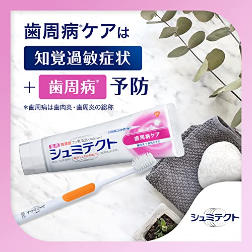 Schmictect Gum Disease Care Toothpaste Double Mint 1450ppm - WAFUU JAPAN