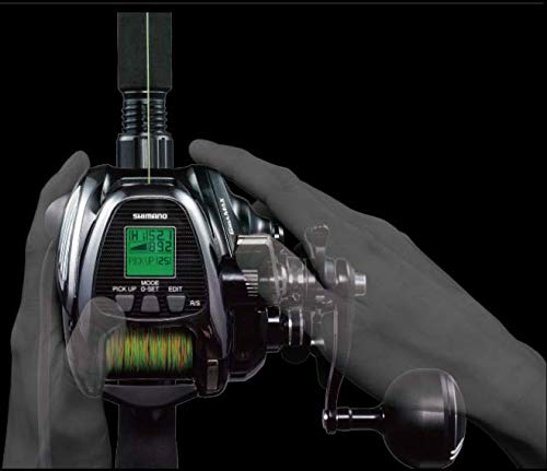 Shimano 19 Beast Master EJ 2000 EJ Electric Reel - WAFUU JAPAN