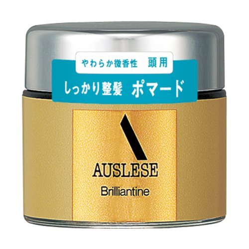 Shiseido Auslese Brillantine N 80g - WAFUU JAPAN