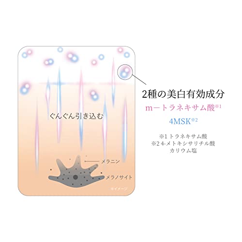 Shiseido HAKU Melanofocus EV Whitening Serum 45g - WAFUU JAPAN