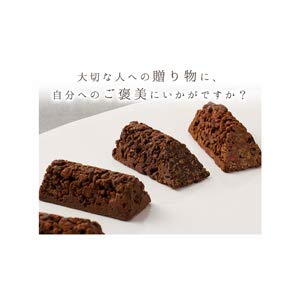 Shiseido Parlor Chocolavion 12 pieces - WAFUU JAPAN