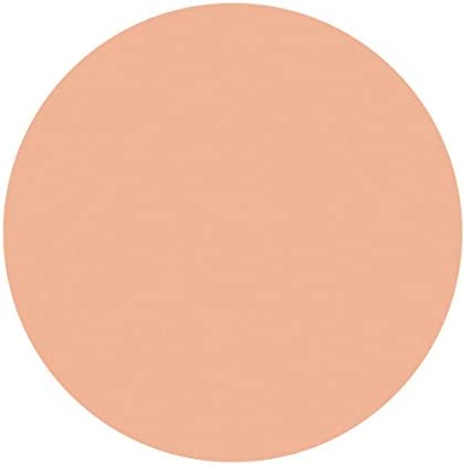 Shiseido Spotscover Foundation - WAFUU JAPAN